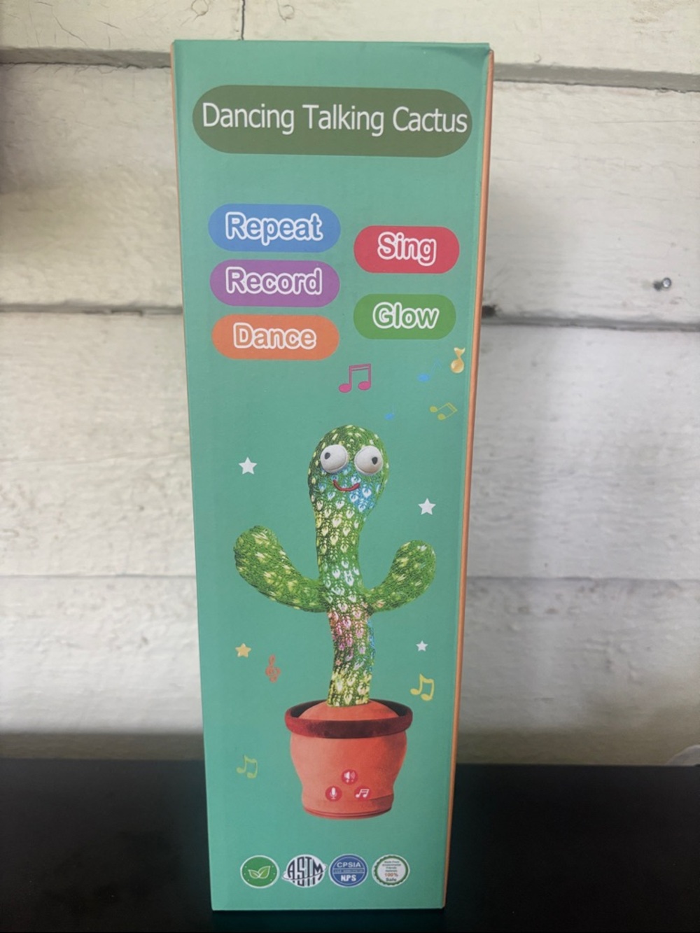 Dancing Talking Cactus Toy